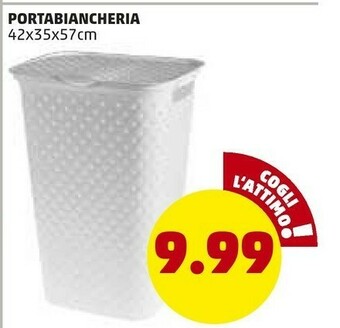 PENNY Portabiancheria 42x35x57 Cm offerta