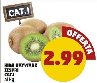 PENNY Zespri Kiwi Hayward offerta