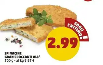 PENNY Aia Spinacine Gran Croccanti offerta