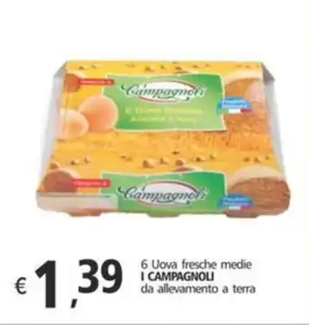 6 Uova fresche medie I CAMPAGNOLI da allevamento a terra