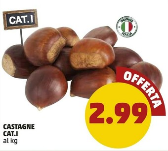 PENNY Castagne offerta