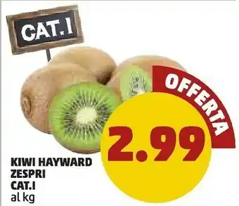 PENNY Zespri Kiwi Hayward offerta