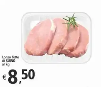 Alter Discount Lonza fette di SUINO offerta
