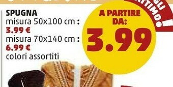 PENNY Spugna Misura 50x100 Cm offerta