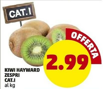 PENNY Zespri Kiwi Hayward offerta