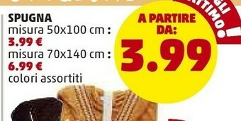 PENNY Spugna Misura 50x100 Cm offerta