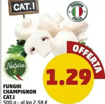 PENNY Penny Market Funghi Champignon Cat.1 offerta