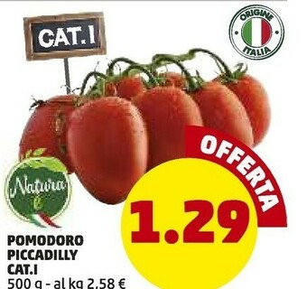 PENNY Penny Pomodoro Piccadilly offerta