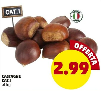 PENNY Castagne offerta