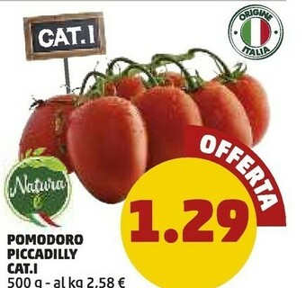 PENNY Penny Pomodoro Piccadilly offerta