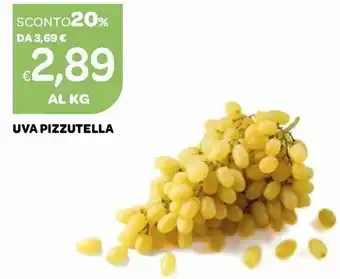 Ekom Uva Pizzutella offerta