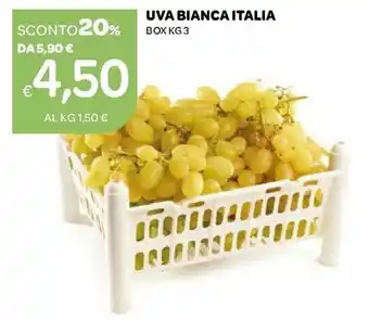 Uva Bianca Italia Box 3 kg