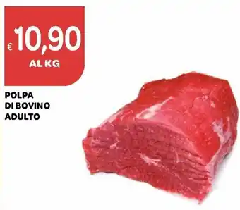 Ekom Polpa Di Bovino Adulto offerta