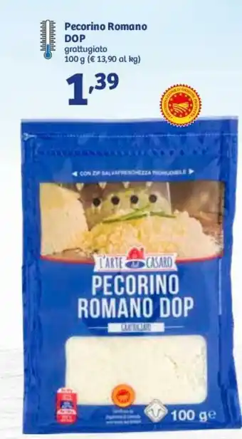 In'S Mercato L'Arte del Casaro Pecorino Romano DOP Grattugiato 100 g offerta