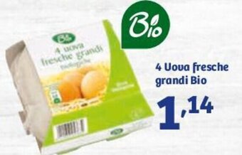 In'S Mercato Bio 4 Uova Fresche Grandi offerta