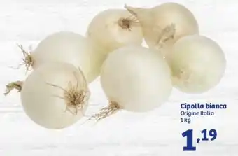 In'S Mercato Cipolla Bianca 1 kg offerta