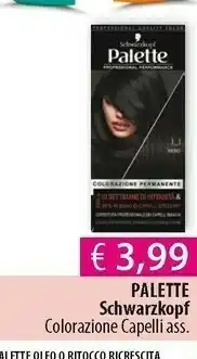Acqua & Sapone Palette Tinte capelli offerta