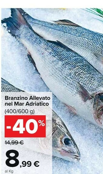 Carrefour Market Branzino Allevato Nel Mar Adriatico offerta