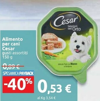 Carrefour Cesar Cibo per cani offerta