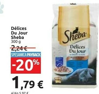 Carrefour Sheba Cibo per gatti offerta