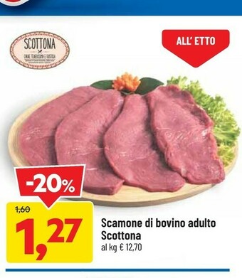 DPiù Scamone Di Bovino Adulto Scottona offerta