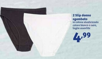 In'S Mercato 2 Slip Donna Sgambato offerta