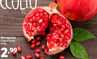In'S Mercato Melograno offerta