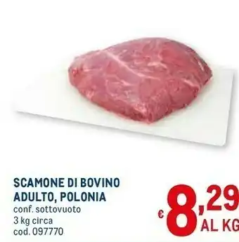 Metro Scamone Di Bovino Adulto offerta