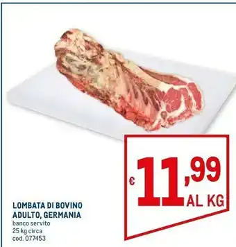 Metro Lombata Di Bovino Adulto offerta