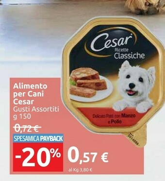 Carrefour Market Cesar Alimento Per Cani offerta