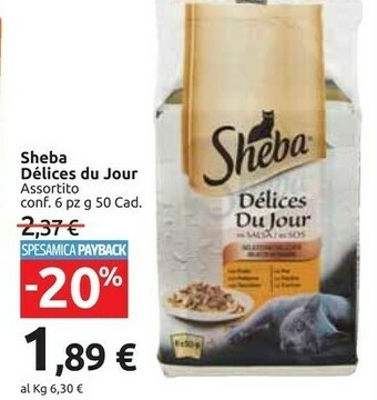 Carrefour Market Sheba Delices Du Jour offerta