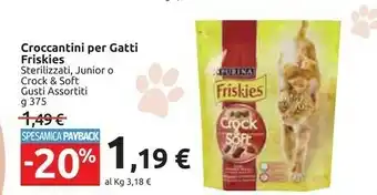 Carrefour Market Friskies Croccantini Per Gatti offerta