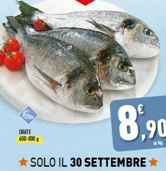 Conad Orate offerta