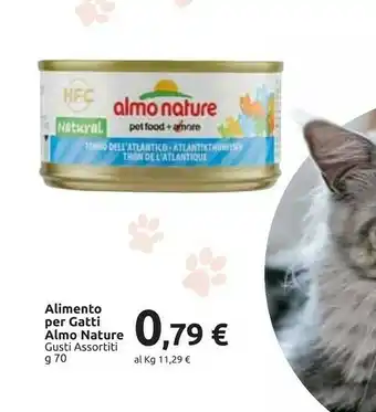 Carrefour Almo Nature Alimento Per Gatti offerta