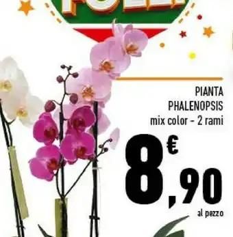 Conad Pianta Phalenopsis offerta