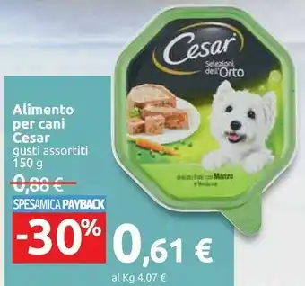 Carrefour Cesar Cibo per cani offerta