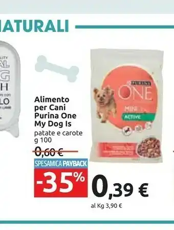 Carrefour Purina Cibo per cani offerta