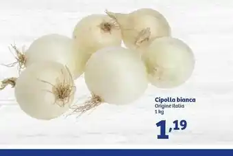 In'S Mercato Cipolla Bianca offerta