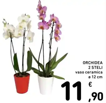 Spazio Conad ORCHIDEA 2 STELI vaso ceramica Ø 12 cm offerta