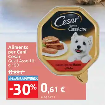Carrefour Market Cesar Alimento per Cani 150g offerta