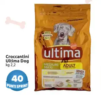 Carrefour Market Ultima Dog Croccantini 2,2kg offerta