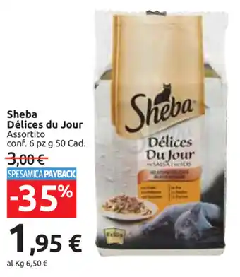 Carrefour Market Sheba Délices du Jour 6pz 50 Cad. offerta