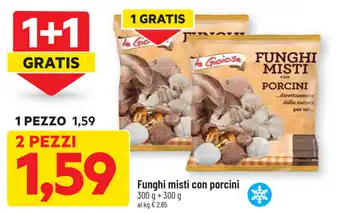 DPiù Funghi misti con porcini 300g + 300g offerta