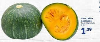 In'S Mercato Zucca Delica Mantovana offerta