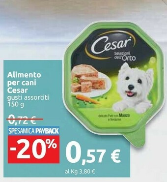 Carrefour Cesar Alimento Per Cani offerta