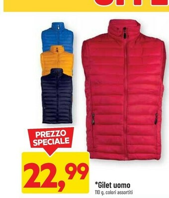 DPiù Gilet Uomo offerta