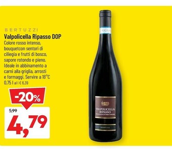 Bertuzzi Valpolicella Ripasso Dop