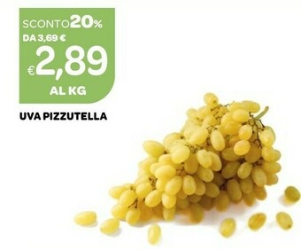 Ekom Uva Pizzutella offerta