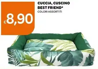 Best Friend Cuccia