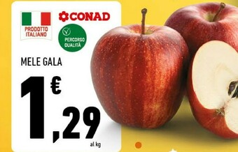Conad Superstore Conad - Mele offerta